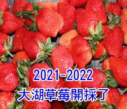 2021-2022j