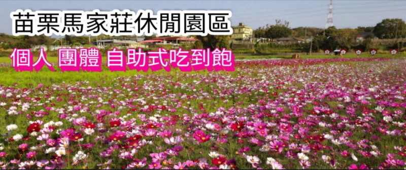 苗栗吃到飽‧馬家莊休閒園區餐廳