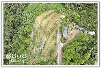 觀霧露營區．觀霧星空夜語露營區