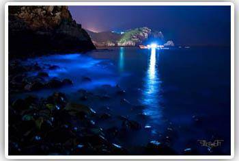 南竿北竿東引莒光‧馬祖民宿一覽表